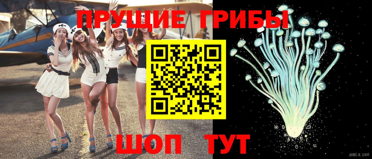 Галлюциногенные грибы Psilocybine cubensis  Вход с VPN  Донецк  Псилоцибиновые грибы MAGIC MUSHROOMS 